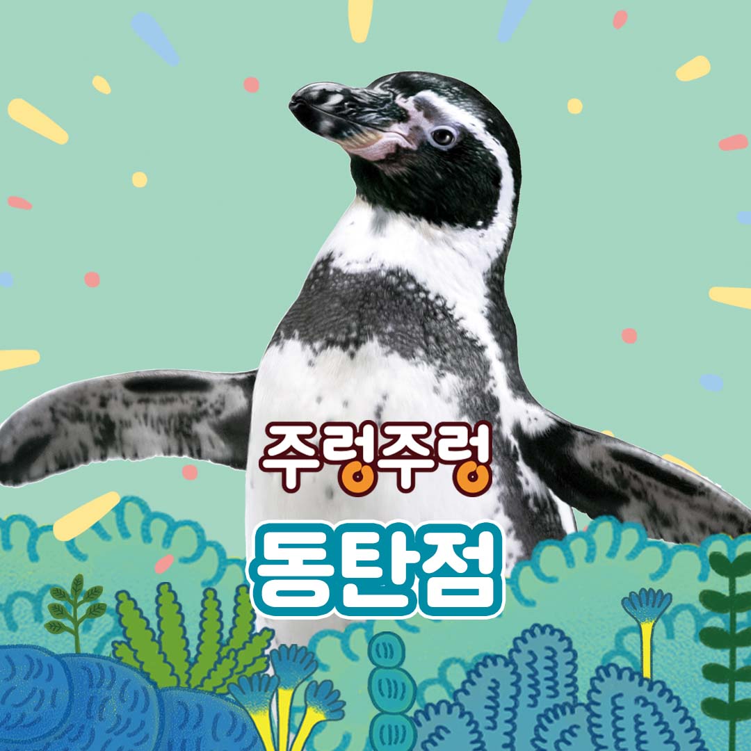 [경기] 주렁주렁 실내 동물원 동탄점
